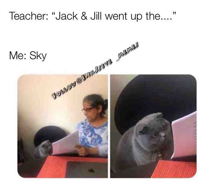 Morning all 🙋🏾♂️ #memes #memesdaily #memestagram #ww3memes #ww3 #funnymemesdaily #trump #twitter #instagram #funny #funnyposts #funnytexts #funnymemes #school