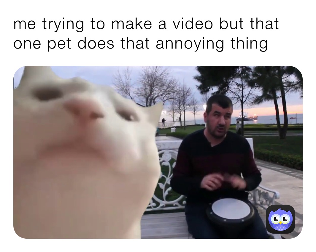 me trying to make a video but that one pet does that annoying thing