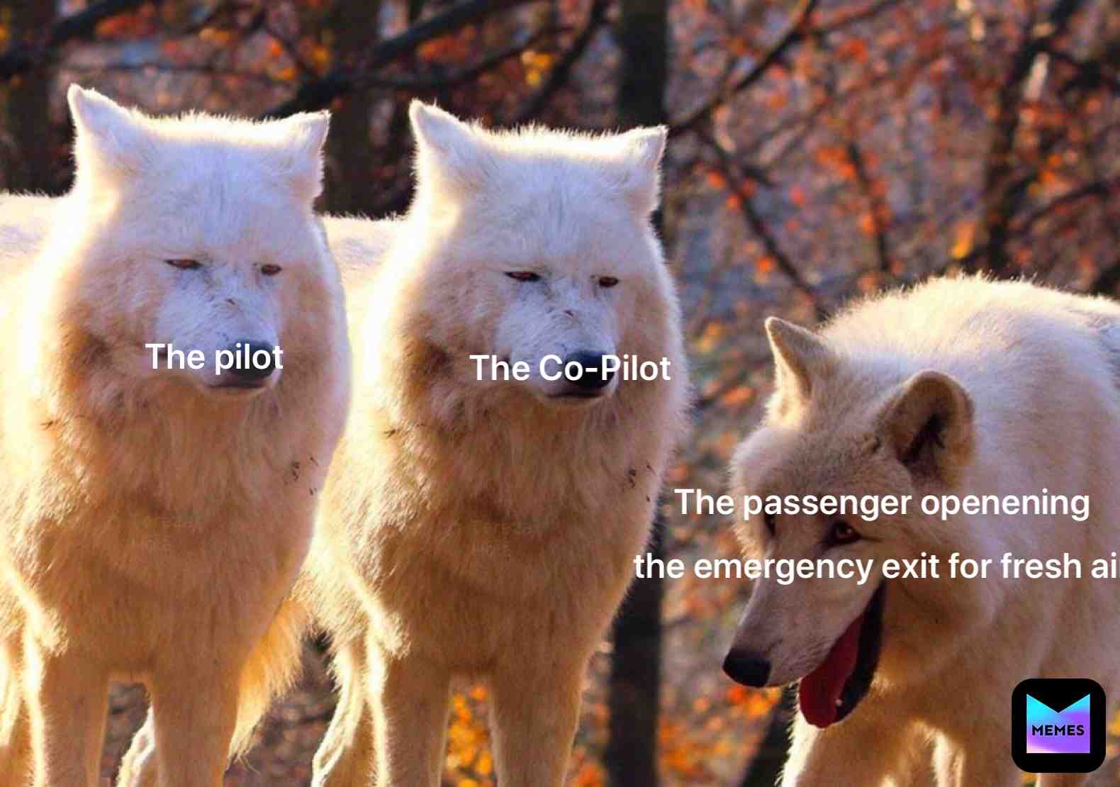 There should have standed fresh air but there wasn’t enough space. #passenger #crash #pilot #copilot #emergencyexit