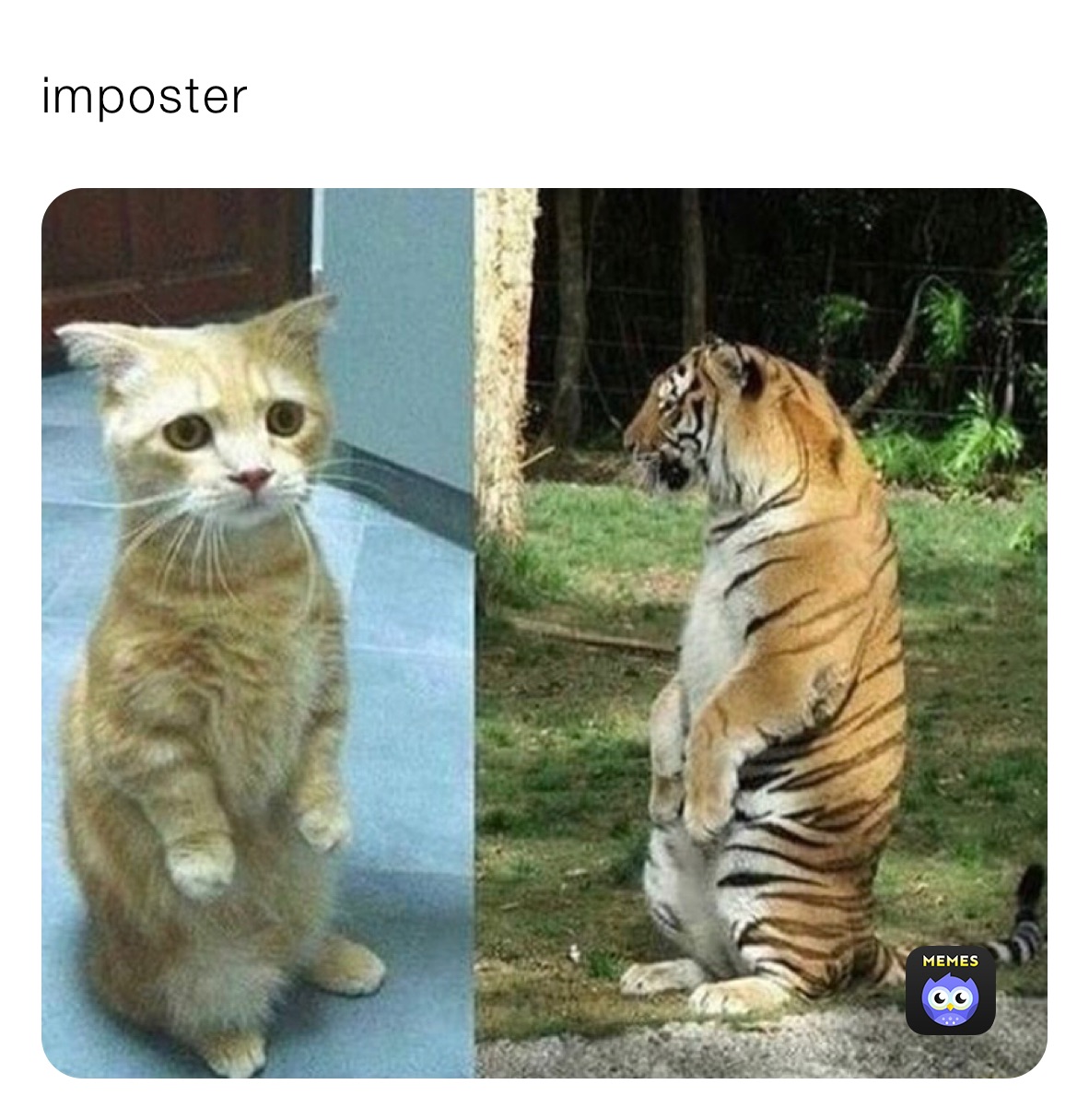 imposter