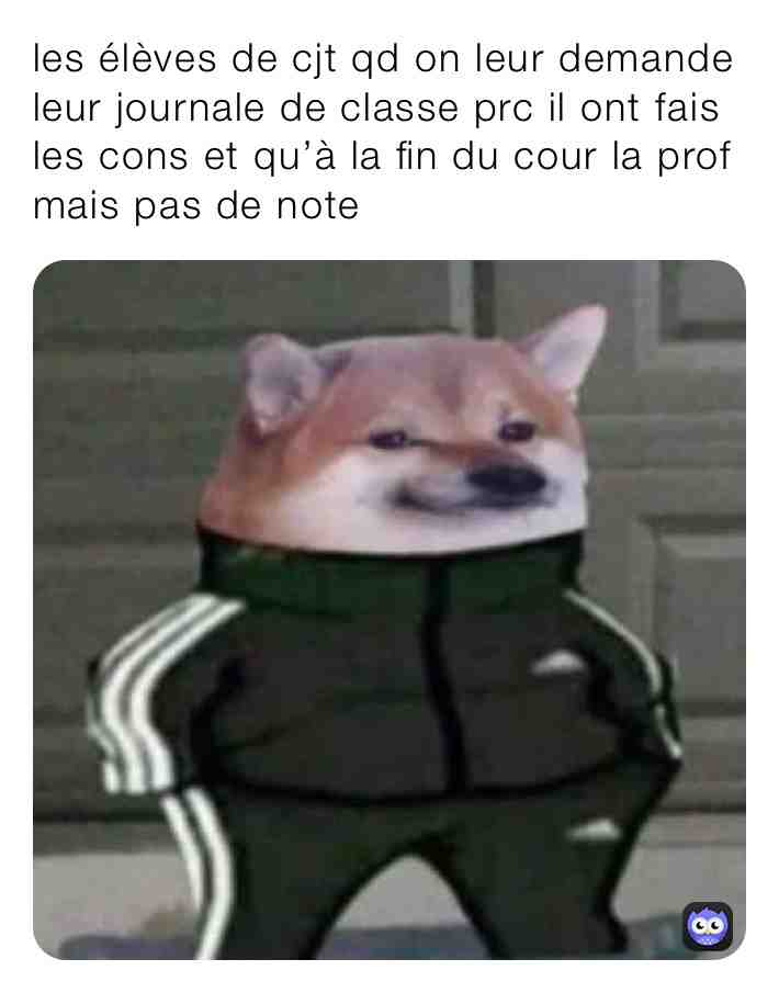 Meme shared by @kaskoo