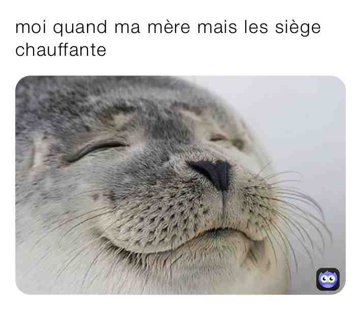 Meme shared by @kaskoo