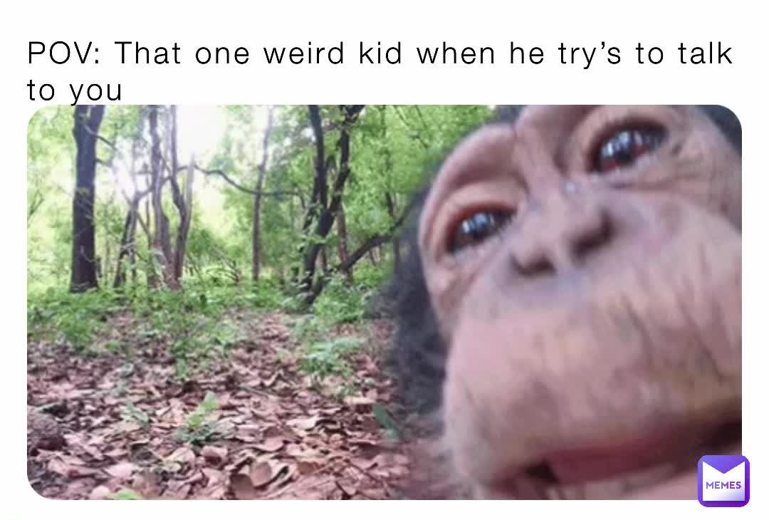 Monkey Memes (@MonkeyMemes) / X