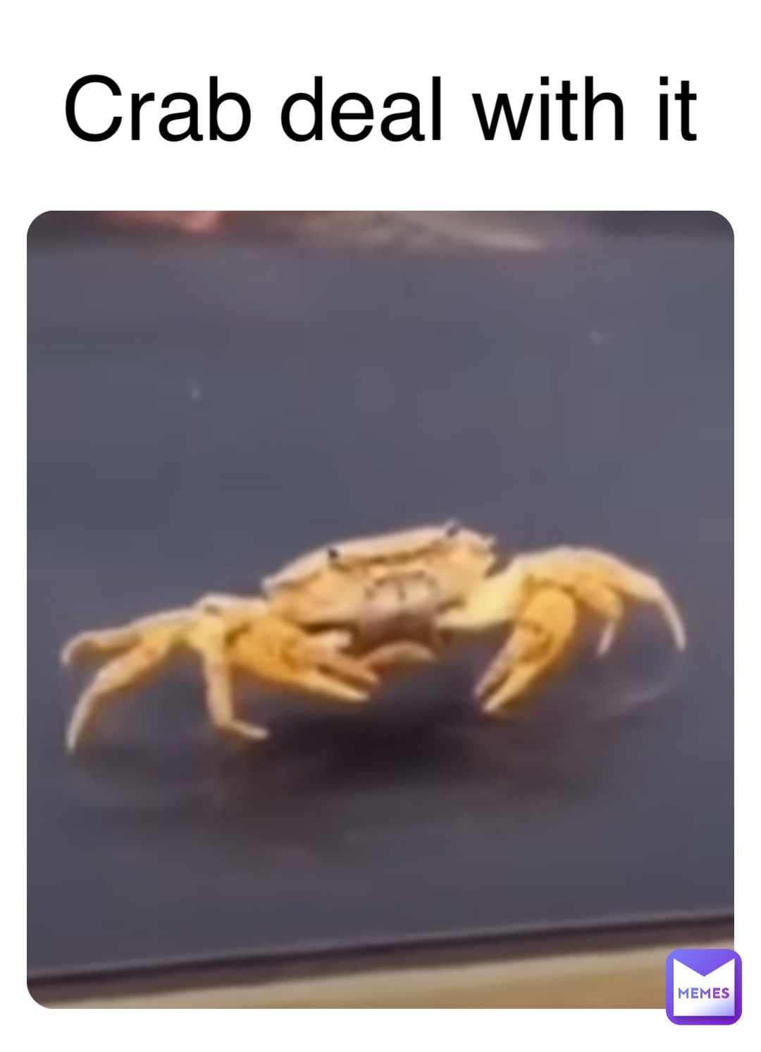 Crab deal with it