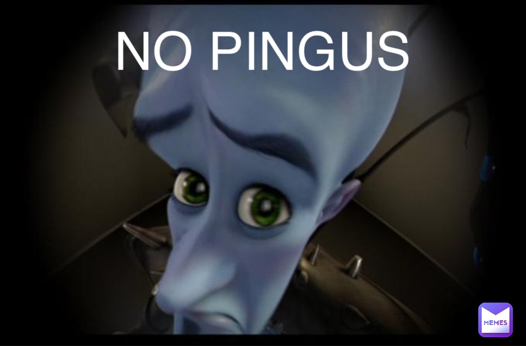 NO PINGUS