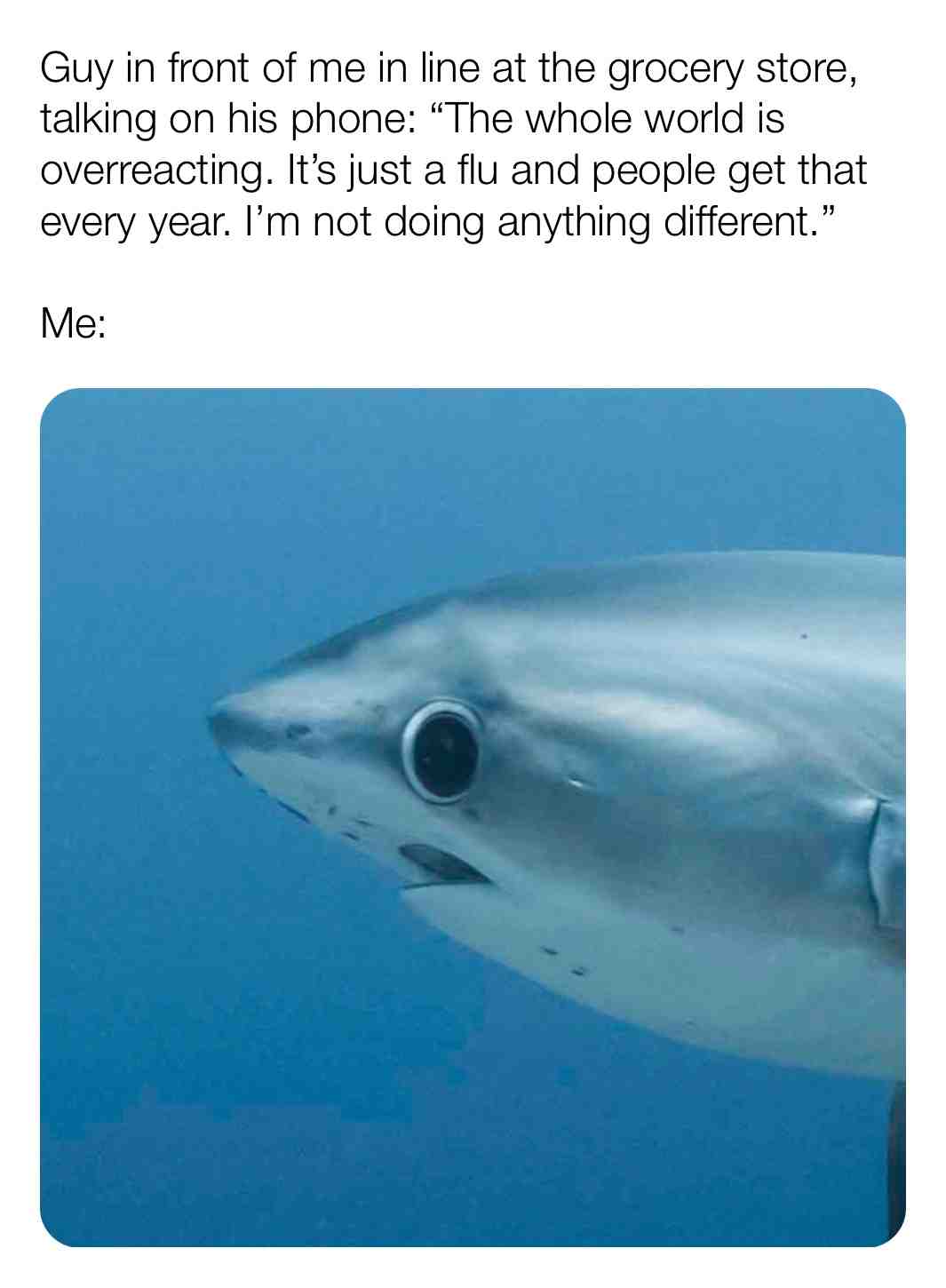 Meme preview