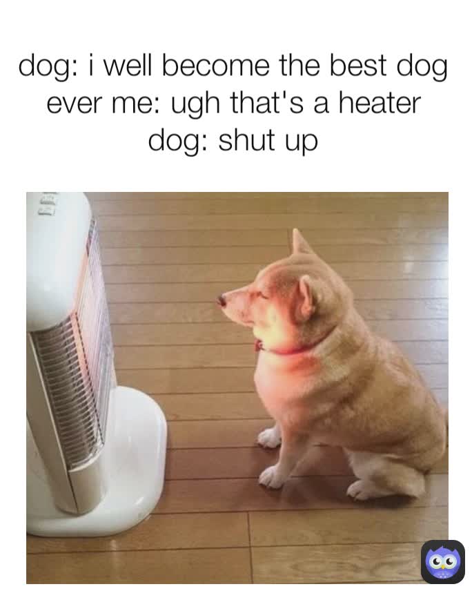 dog: i well become the best dog ever me: ugh that's a heater dog: shut up