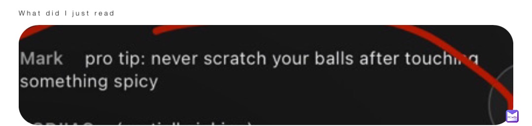 What did I just read