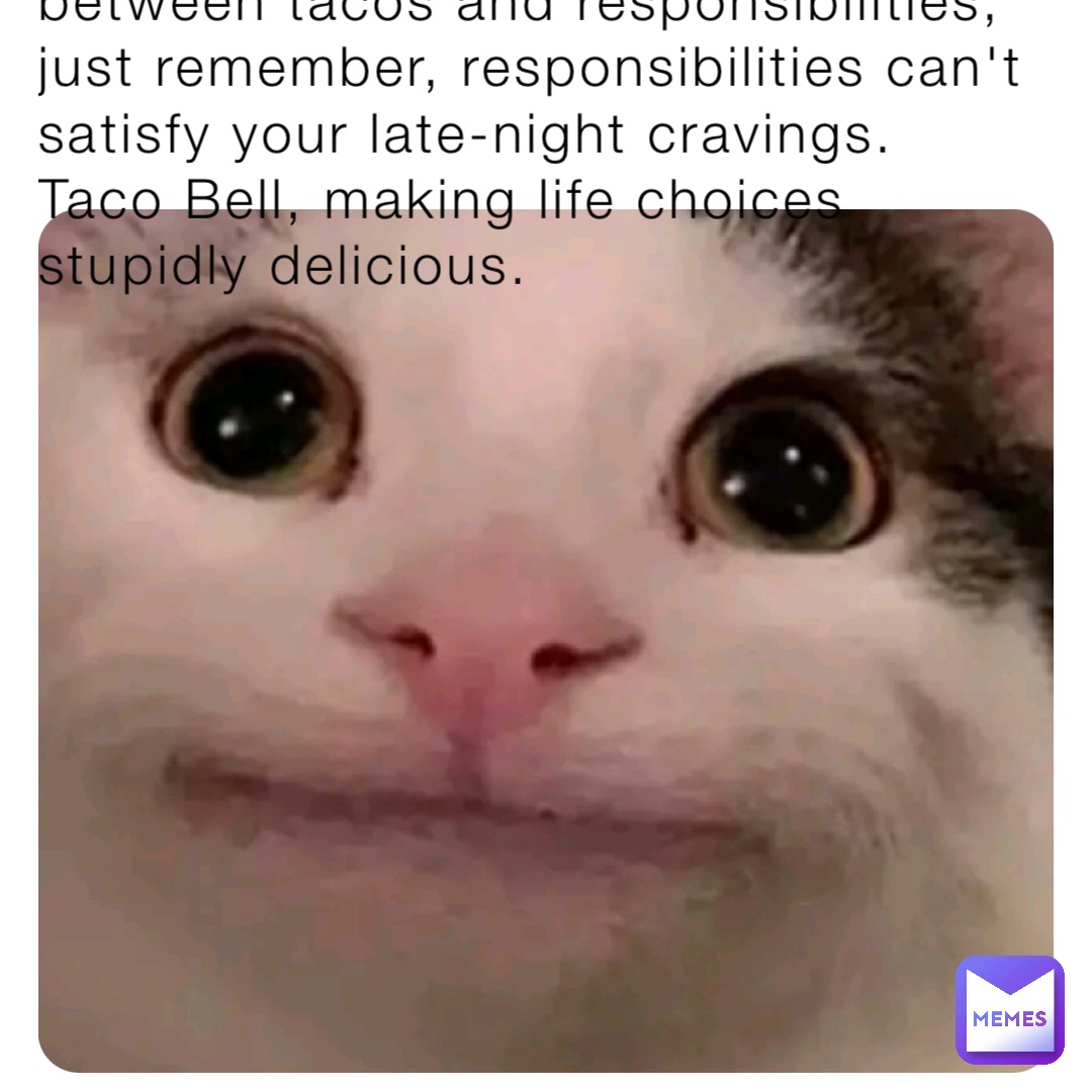 POV: You had Taco Bell for dinner : r/funnygifs