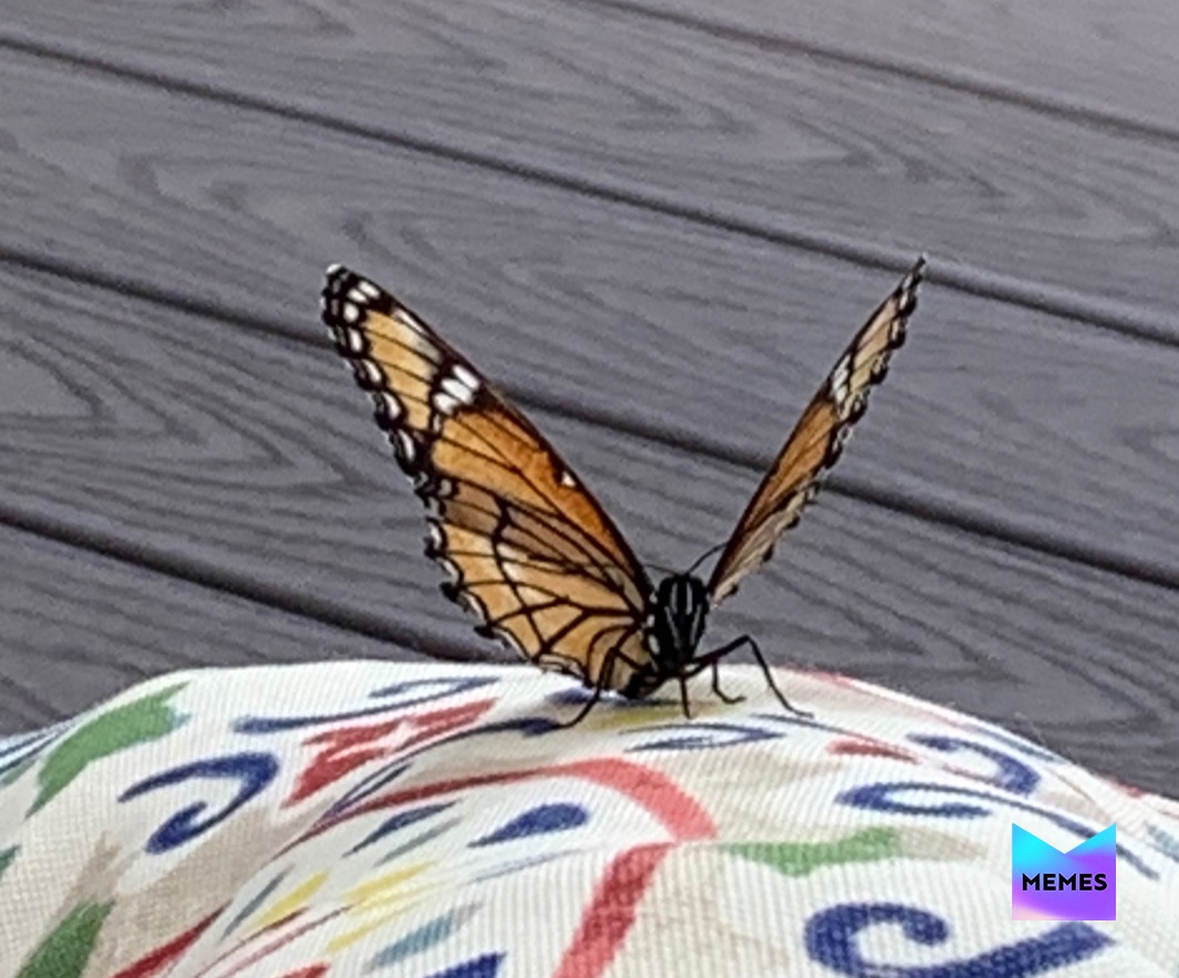 Meme by save_me_from_covid