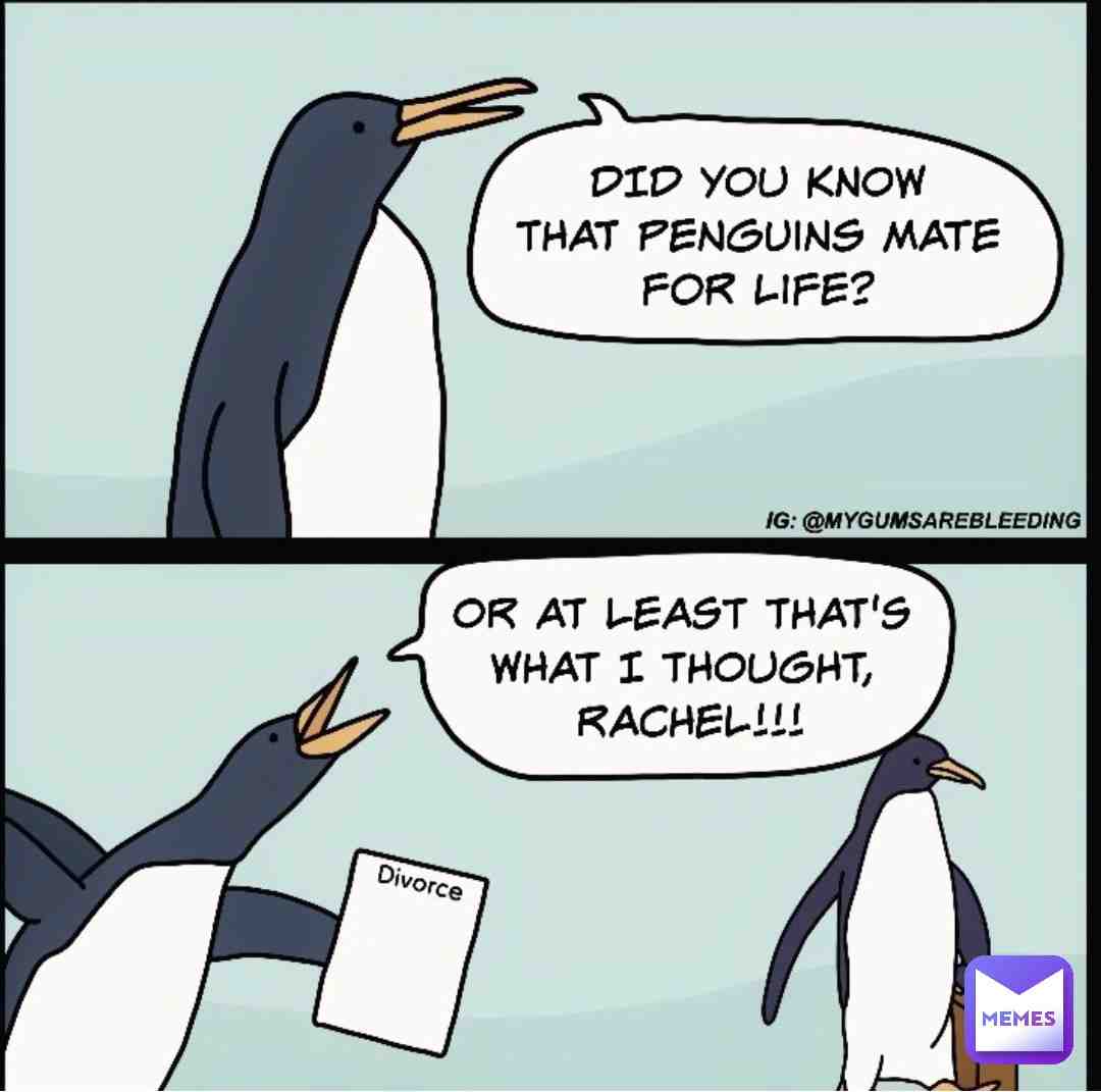 Meme shared by @McWafy