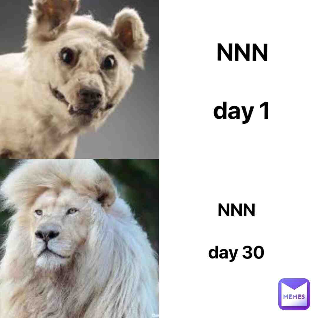 #memes
