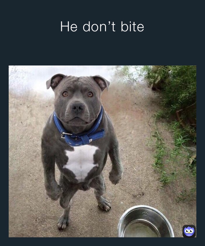 He don’t bite
