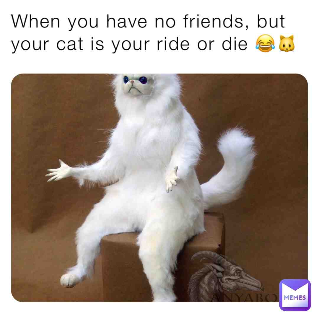 Idk