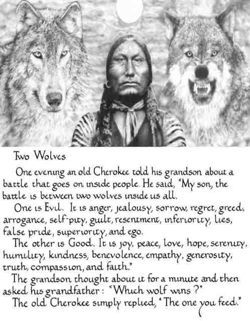 Feed the right wolf. You’ll find greater joy in life. Enjoyment from evil is only temporary. #takebacktherainbow