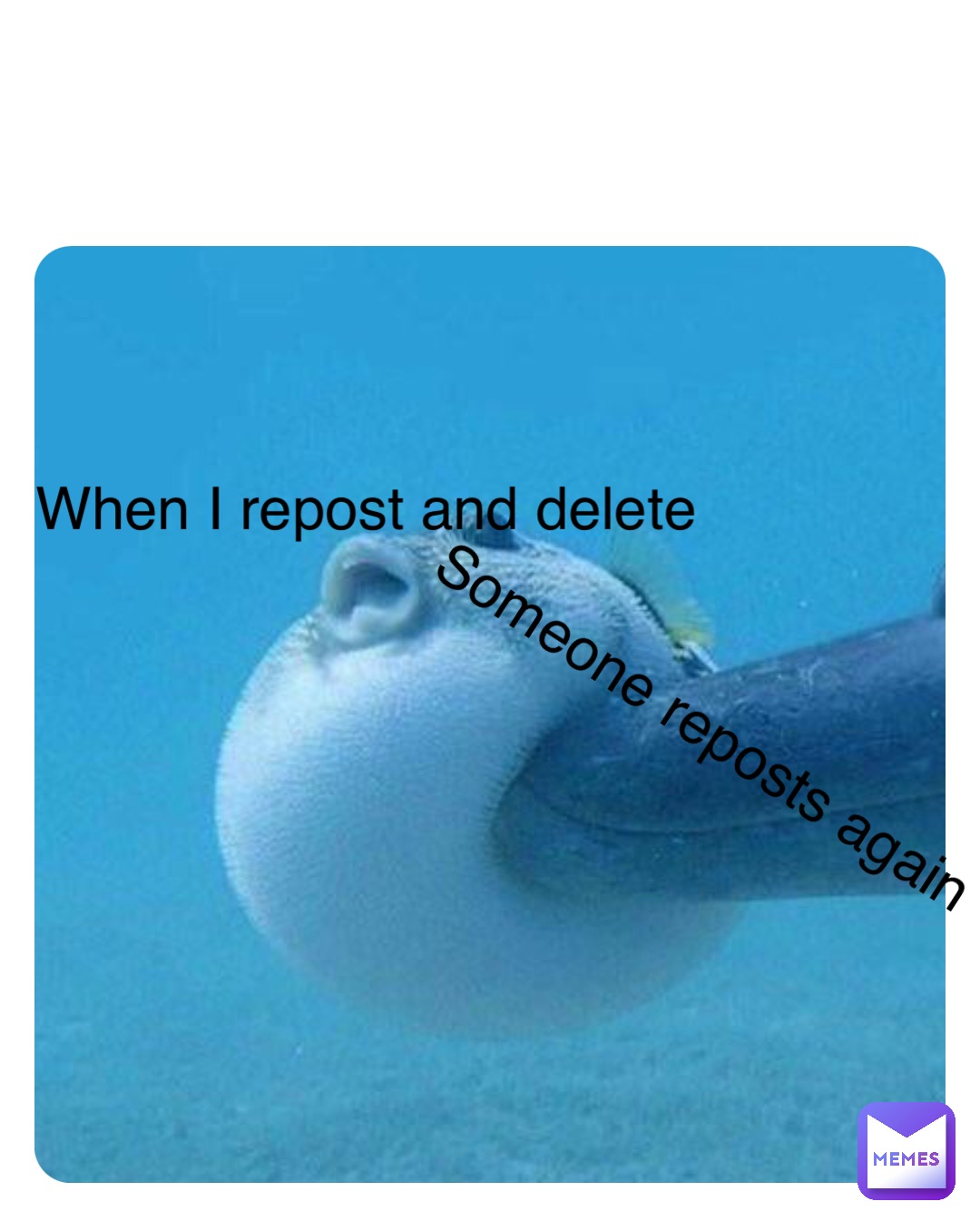 Double tap to edit When I repost and delete Someone reposts again