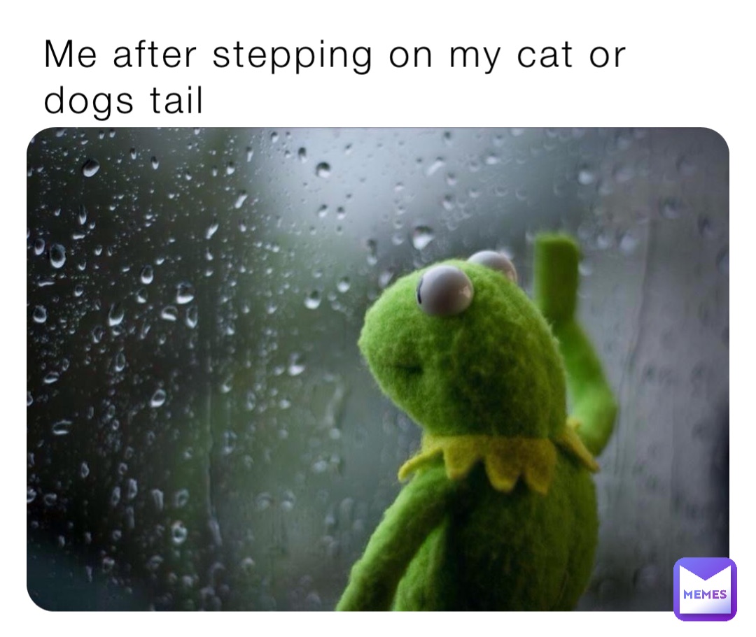 Me after stepping on my cat or dogs tail My_memes_are_bad_1 Memes