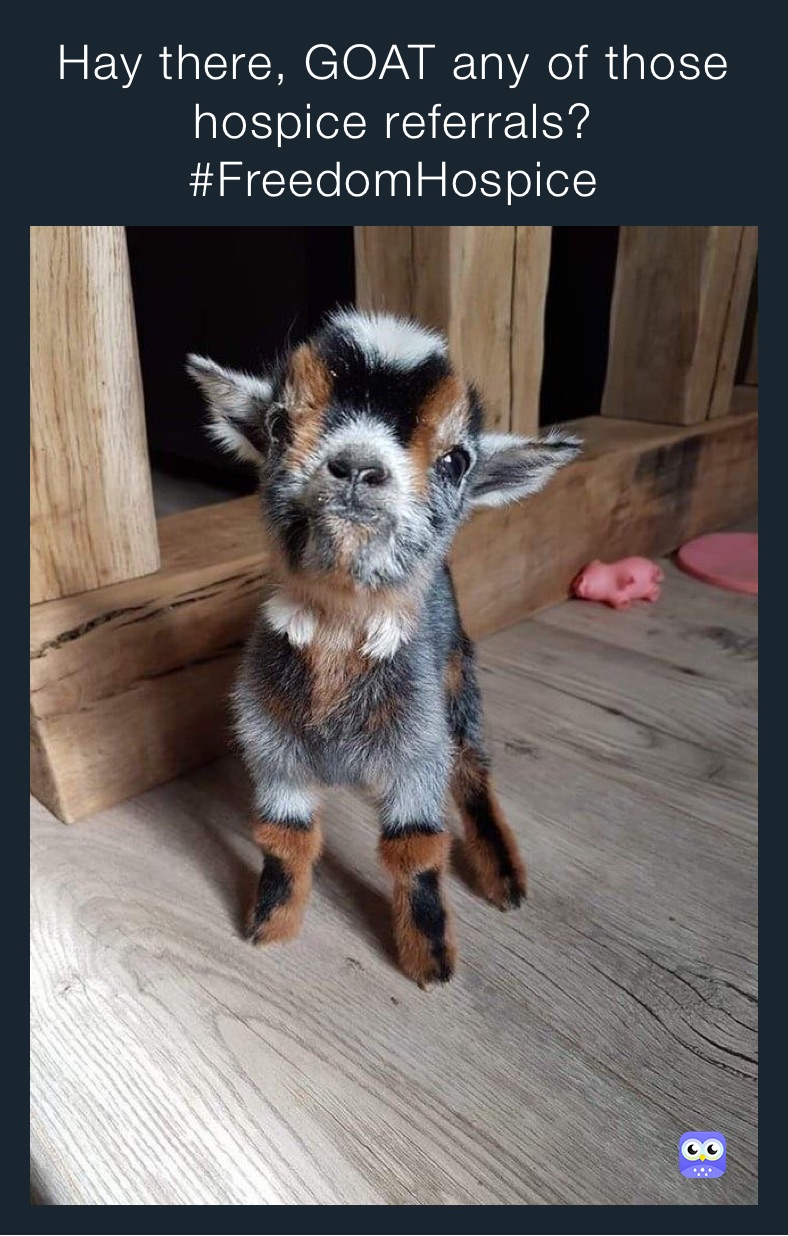 Hay there, GOAT any of those hospice referrals?
#FreedomHospice