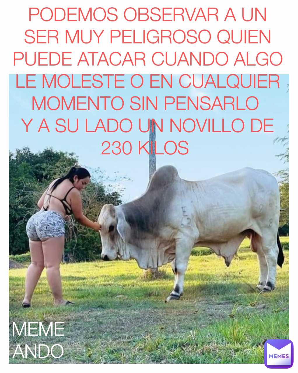 Meme by johanalopez1036