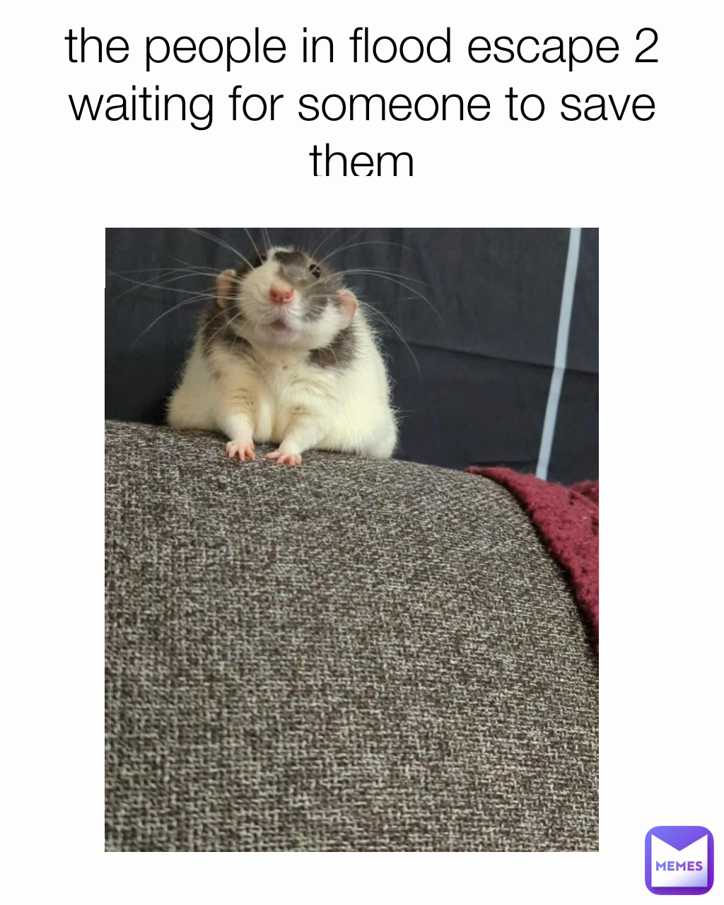 the people in flood escape 2 waiting for someone to save them