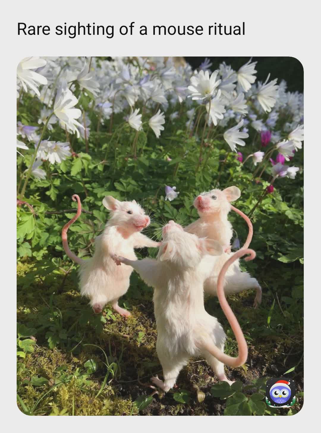 Meme by Fluffydog987