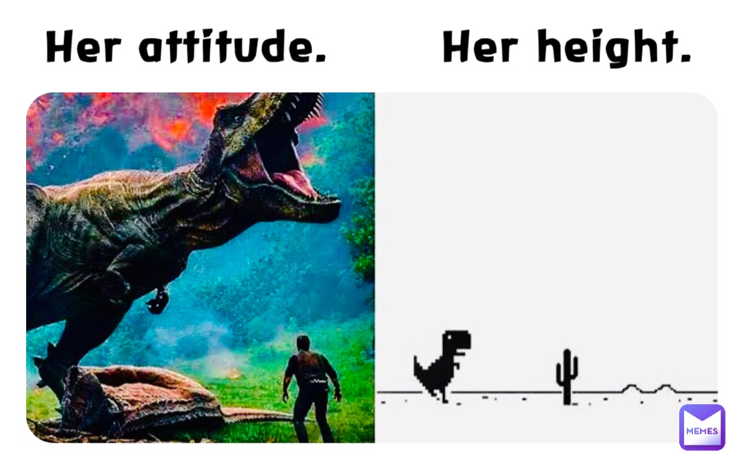 Her attitude.       Her height.