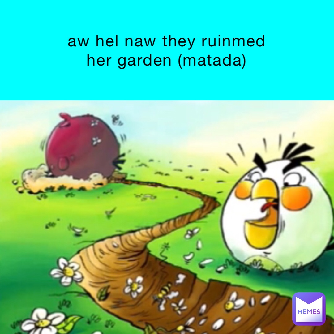 aw hel naw they ruinmed her garden (matada)