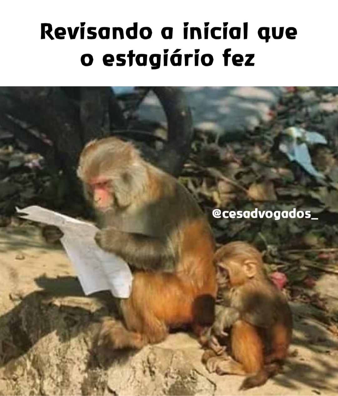 Revisando a inicial que o estagiário fez @cesadvogados_