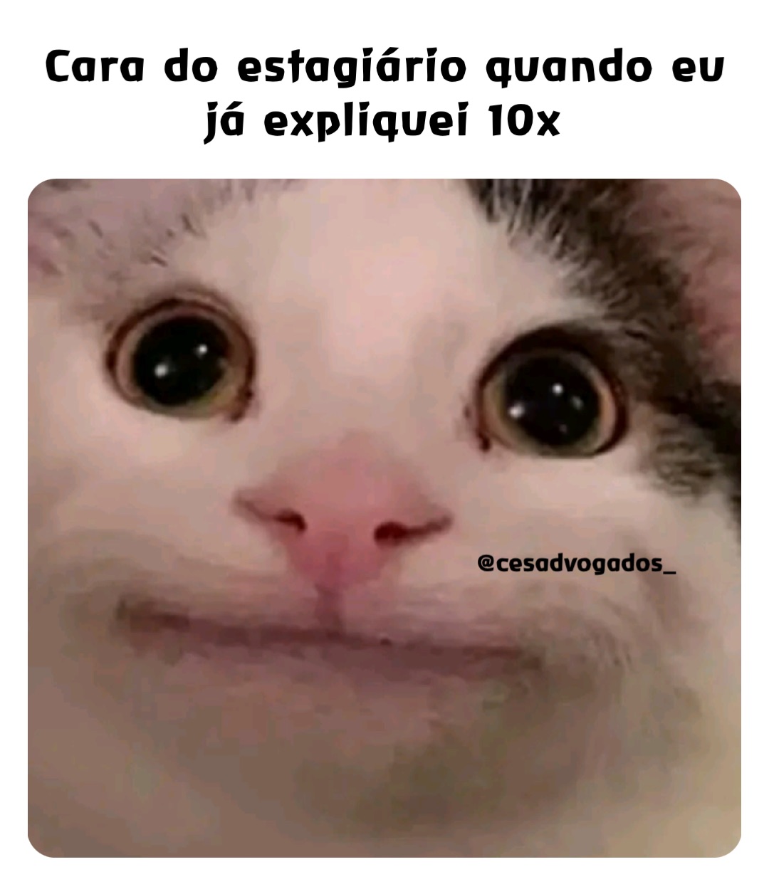 Cara do estagiário quando eu já expliquei 10x @cesadvogados_