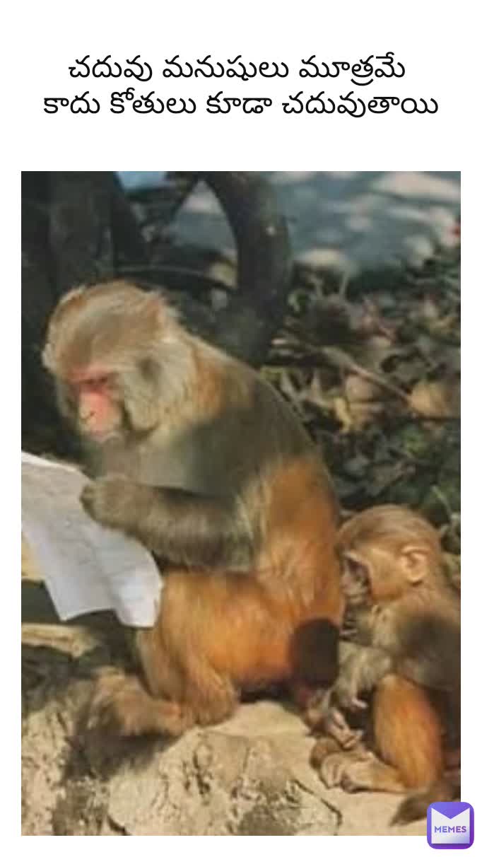 చదువు మనుషులు మూత్రమే 
కాదు కోతులు కూడా చదువుతాయి
