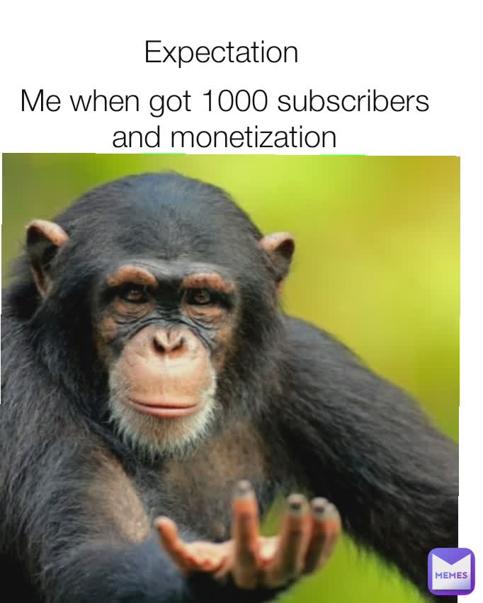 Me when got 1000 subscribers and monetization Expectation
