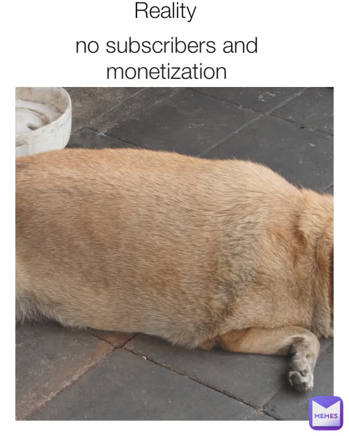 Reality no subscribers and monetization