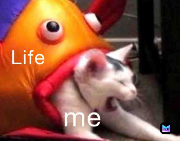 Meme shared by @wizzardtrixter