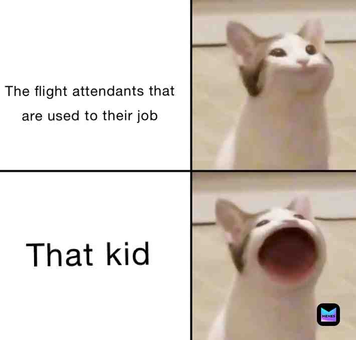 Meme shared by @wizzardtrixter