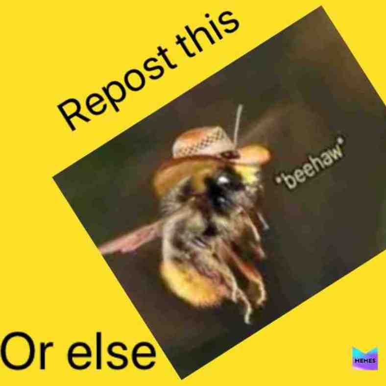 Meme shared by @white_towel