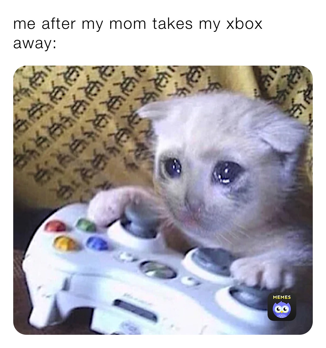 me after my mom takes my xbox away: