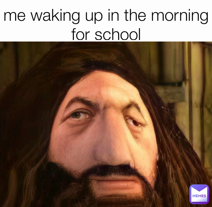 me-waking-up-in-the-morning-for-school-maanasathememedealer-memes