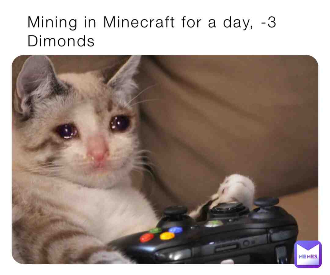 Meme shared by @Tymcpoo