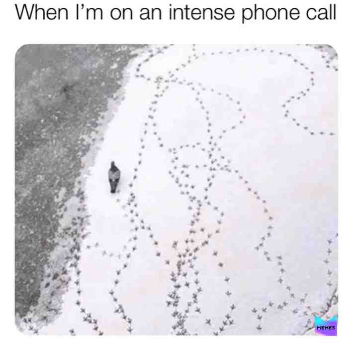Follow me please #alexjones #alexjonesmemes #deafmemes #pewdiepie #offensivememes #highschoolfights #vanossgaming #memes #fights #fitz #swaggersouls #h20delirious #memes #dank #dankmemes #bladder #duck #bestmemes #crappost #funny #funnycrap #benshapiro #benshapiromemes #regularshowmemes #ww3 #ww3memes #repost4ig