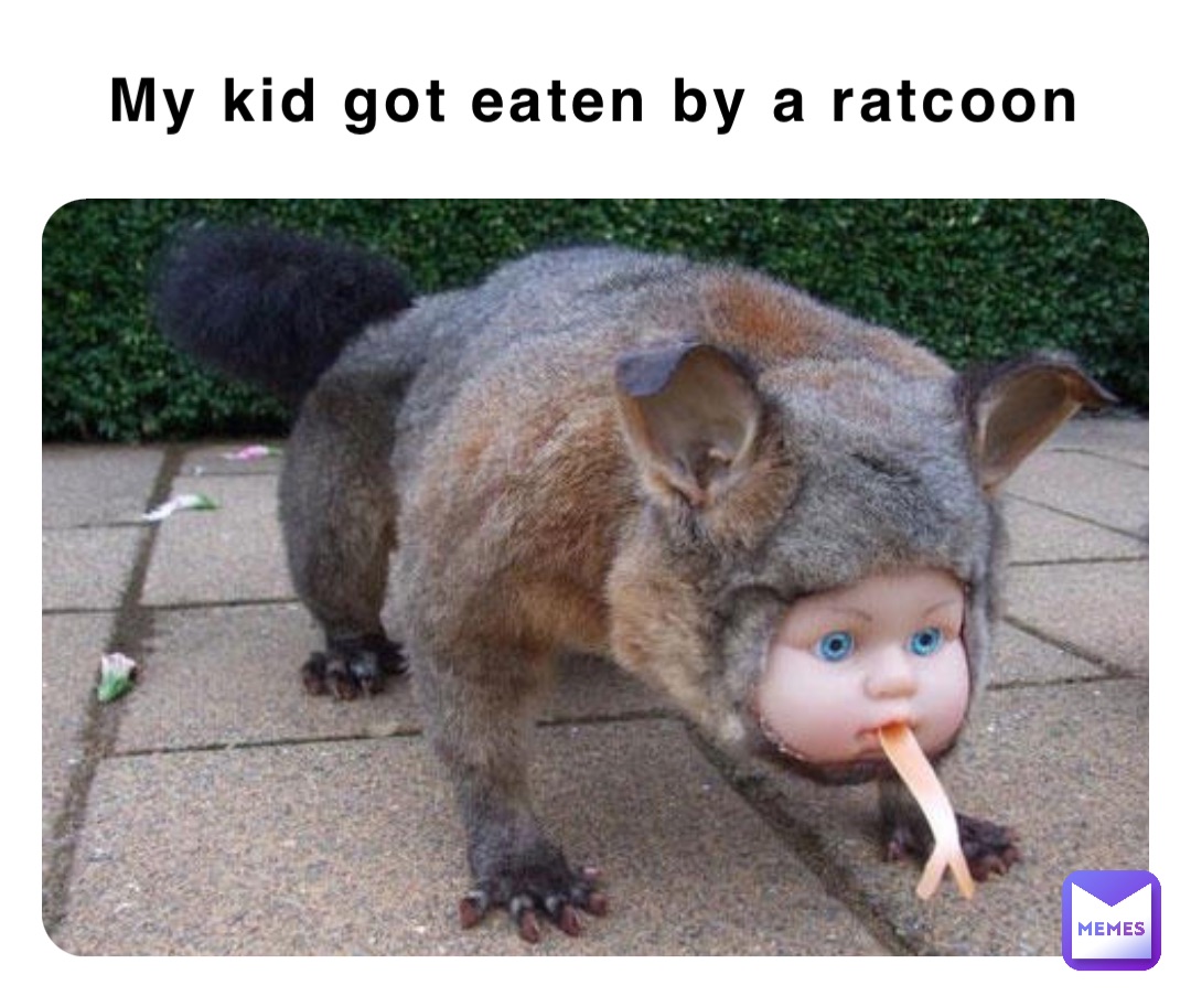 My kid got eaten by a ratcoon