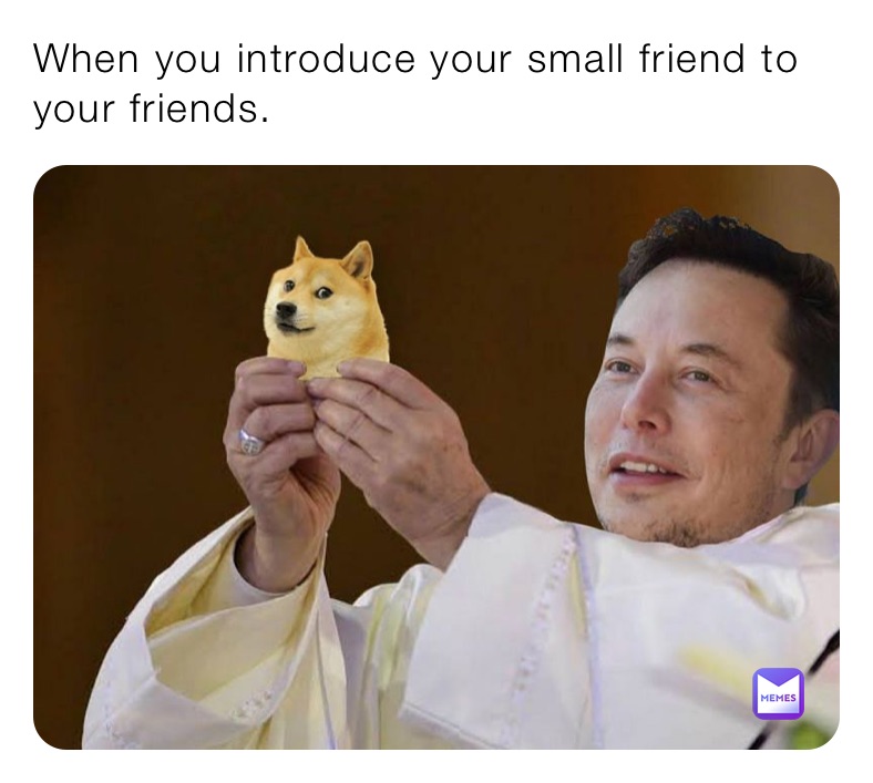 When you introduce your small friend to your friends. 