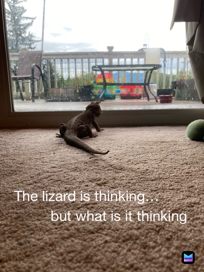 Meme by memecentral45