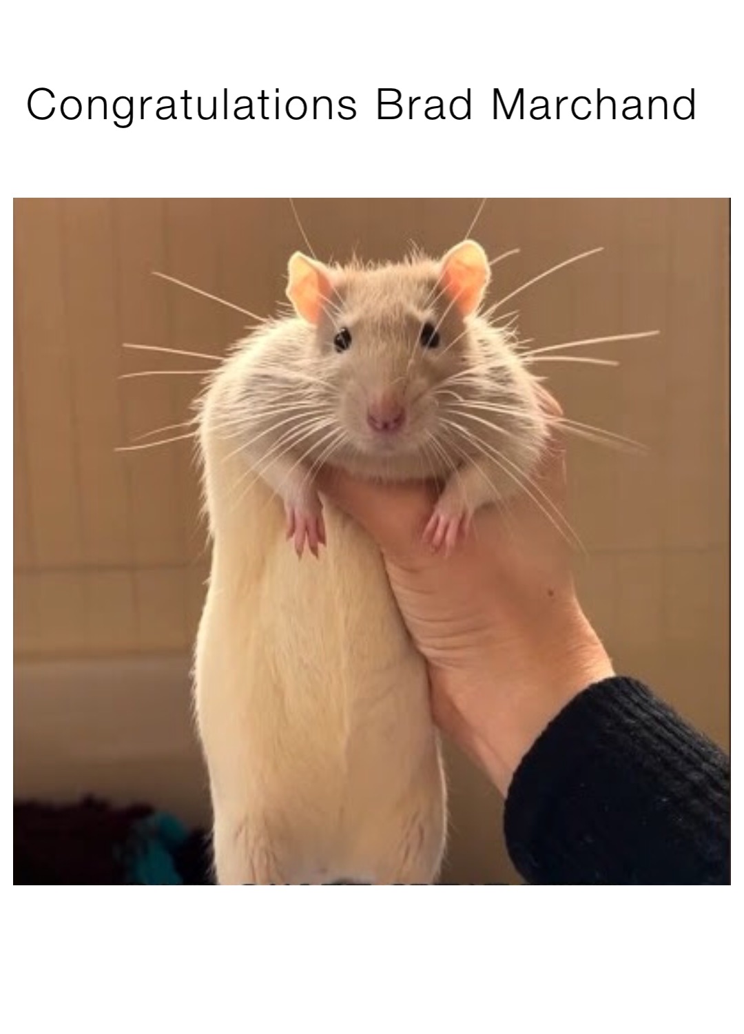 Meme by mikedonald711