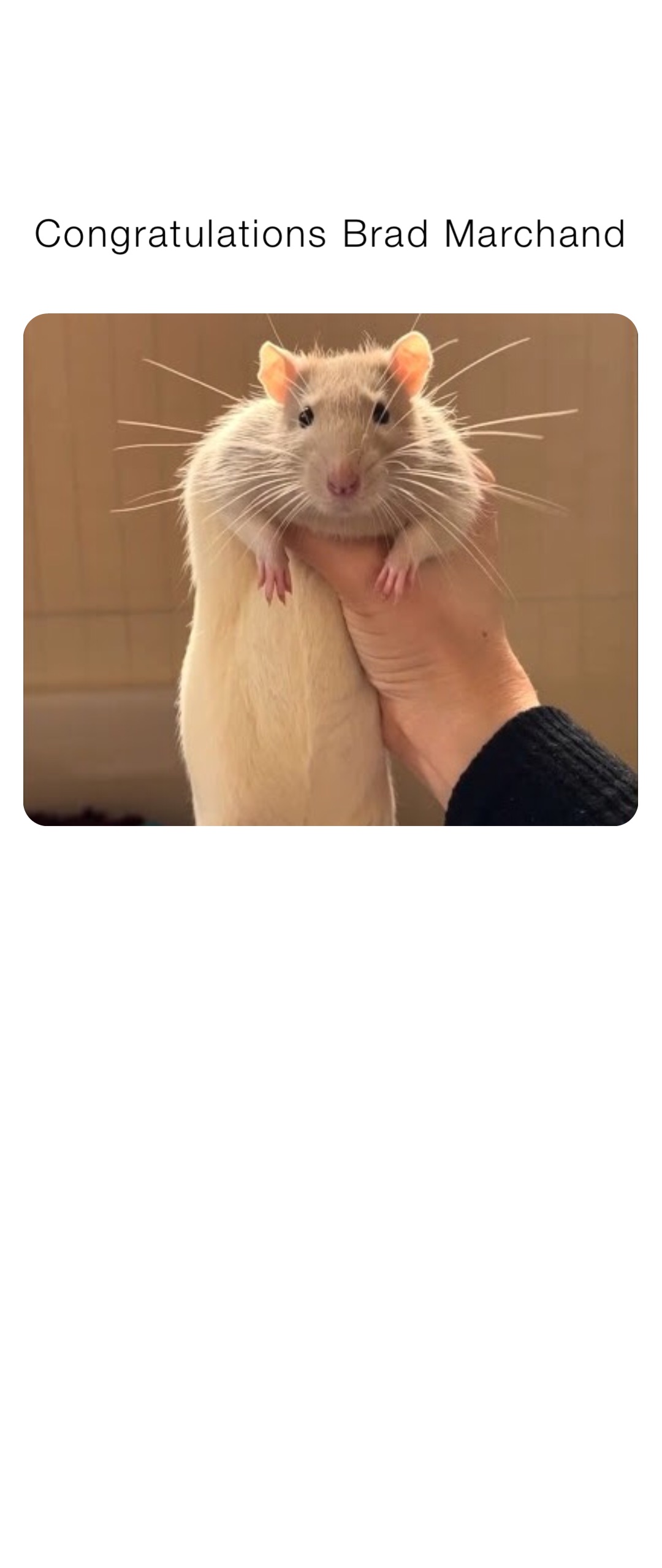 Meme by mikedonald711