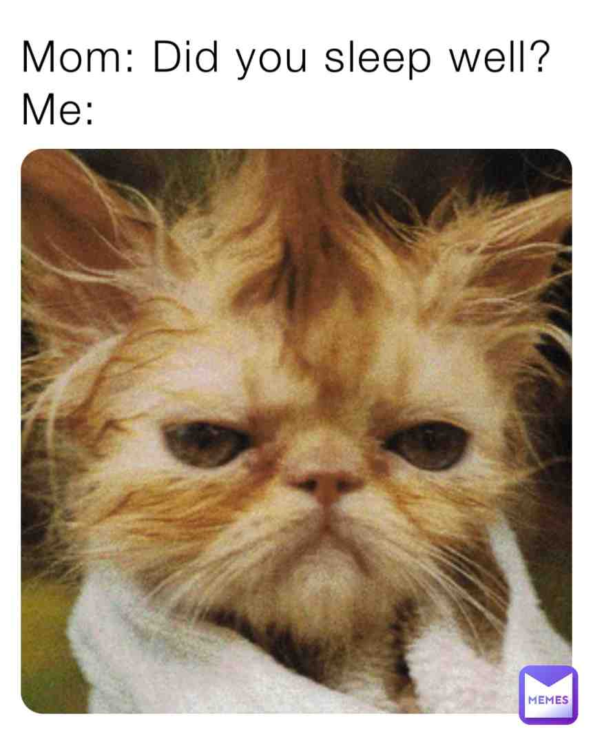 Meme shared by @jet_wyvern