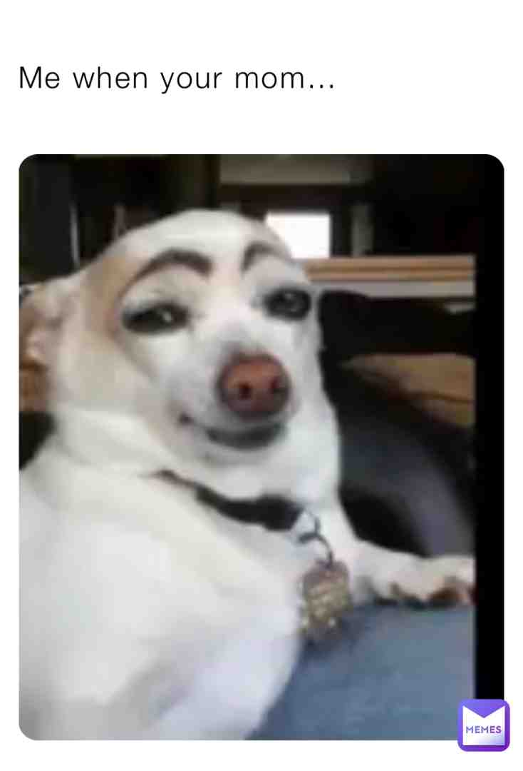 Meme shared by @jet_wyvern