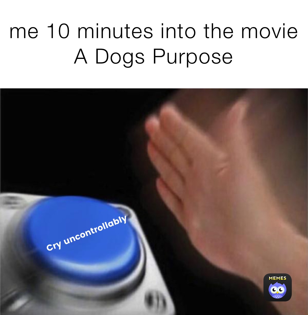 me 10 minutes into the movie A Dogs Purpose 