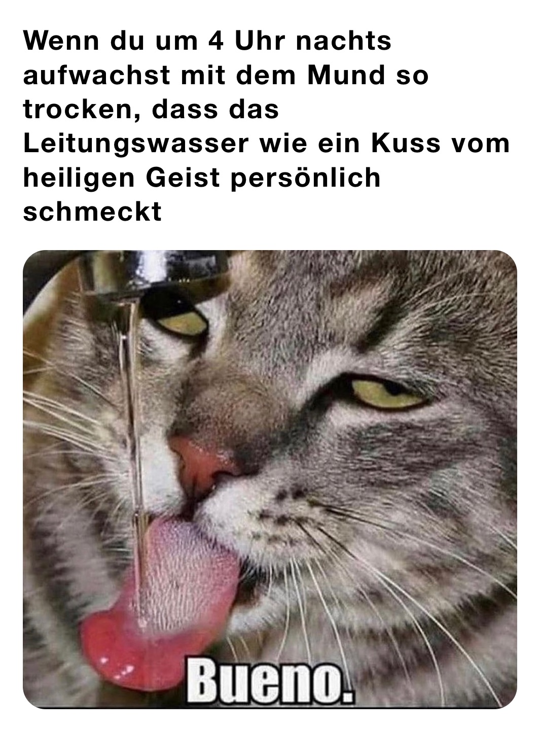 Wenn du um 4 Uhr nachts aufwachst mit dem Mund so trocken, dass das Leitungswasser wie ein Kuss vom heiligen Geist persönlich schmeckt