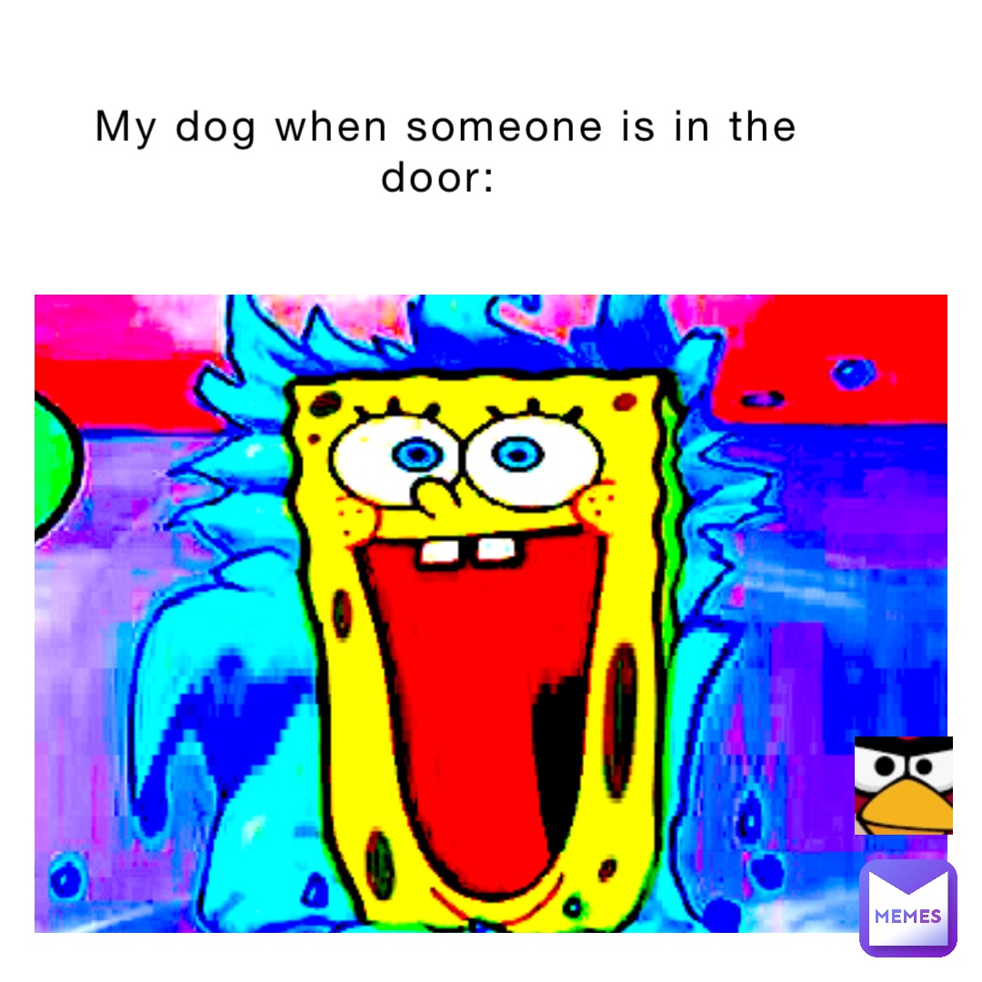 My dog when someone is in the door: