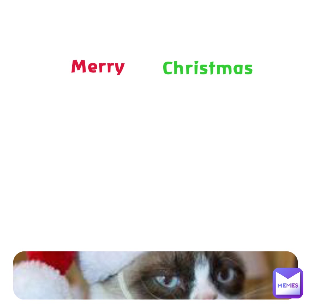 merry christmas grumpy cat meme